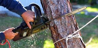 Best Soil Testing and Treatment  in Clymer, PA
