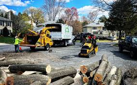 Best Stump Grinding and Removal  in Clymer, PA