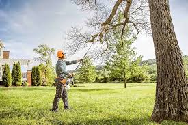 Best Arborist Consultation Services  in Clymer, PA